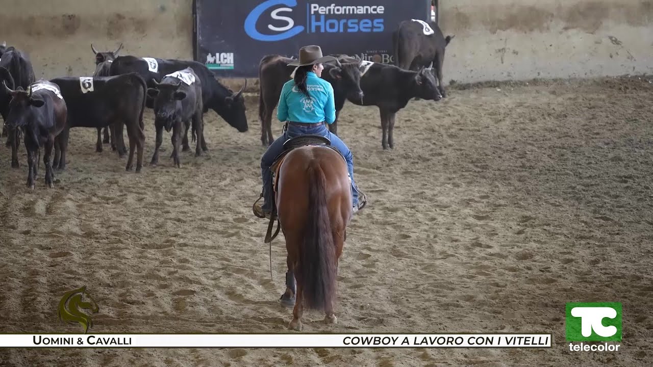 Uomini&Cavalli: cowboy a lavoro con i vitelli
