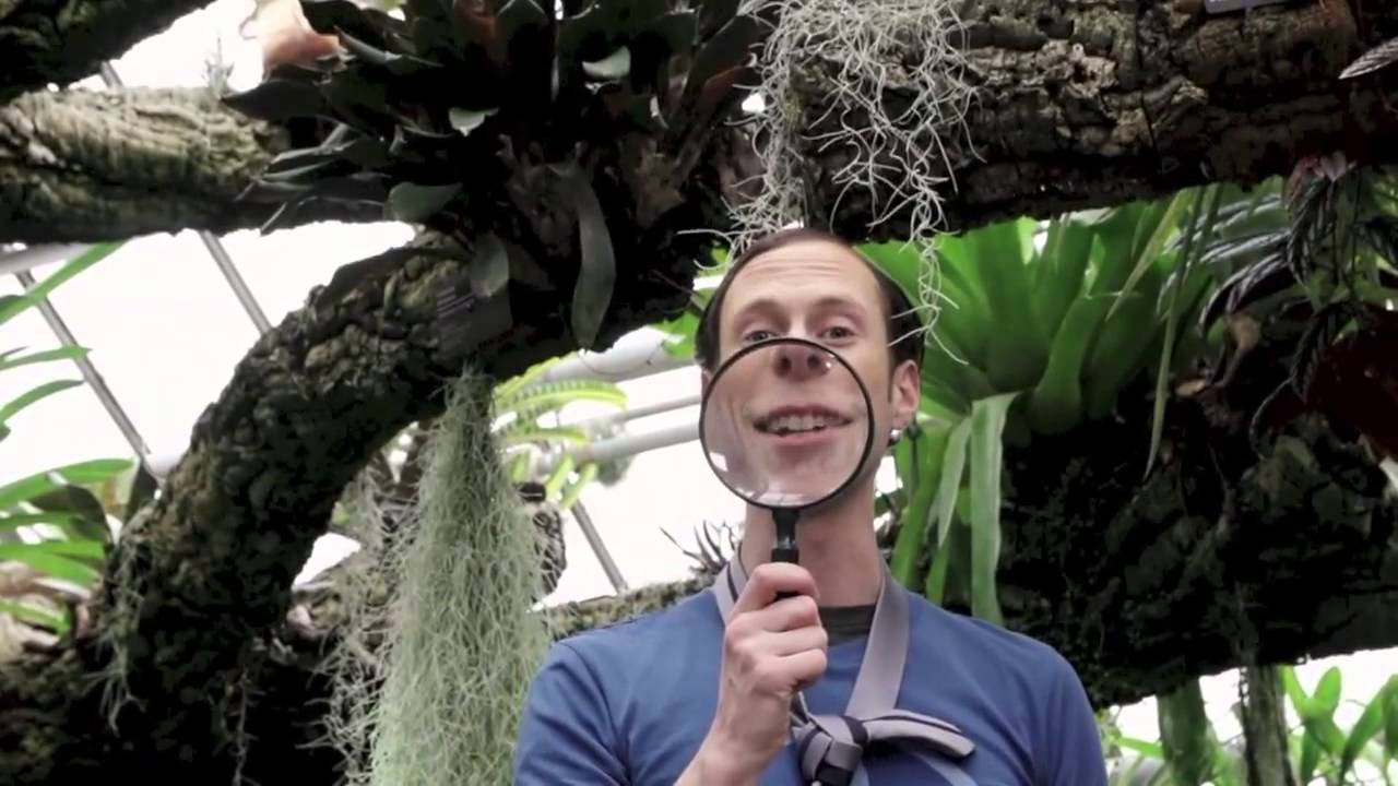 Yoopa | L'Académie Secrète - La forêt tropicale