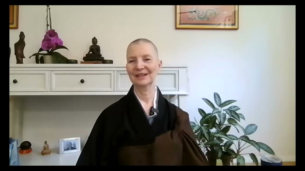 Clearly Comprehending the Body in Action | Dhammadīpā | SUNDAY Sound of Dhamma