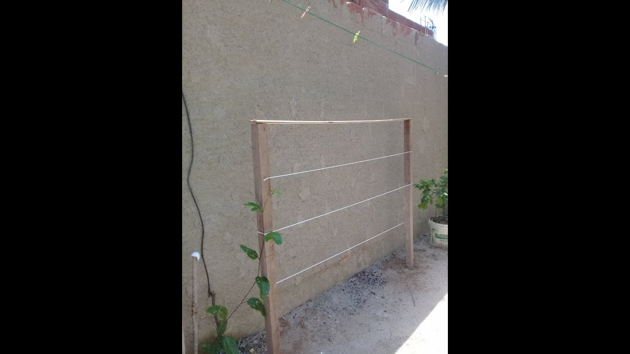Maracujá preparado para produzir  na cerca.