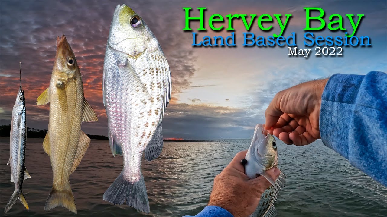 Hervey Bay Land Based Fishing - May 2022