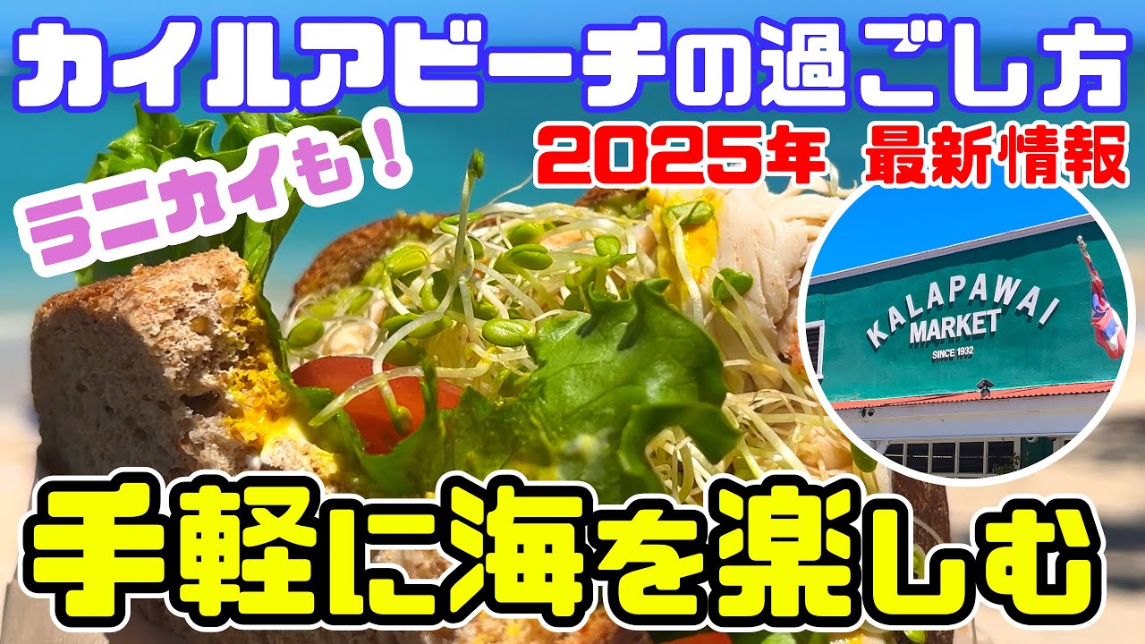 ハワイ🌈全米ナンバーワンビーチへ🌴めっちゃきれいな「2025年版カイルアビーチへの最適な行き方」🥪カラパワイマーケットでランチ。ザ・バス（市バス）で行ったら3ドル‼ゴールデンウイークにハワイ最新情報