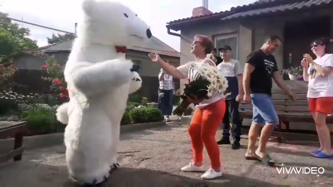 Експрес привітання від Ведмедика Кременчук 0976479032
