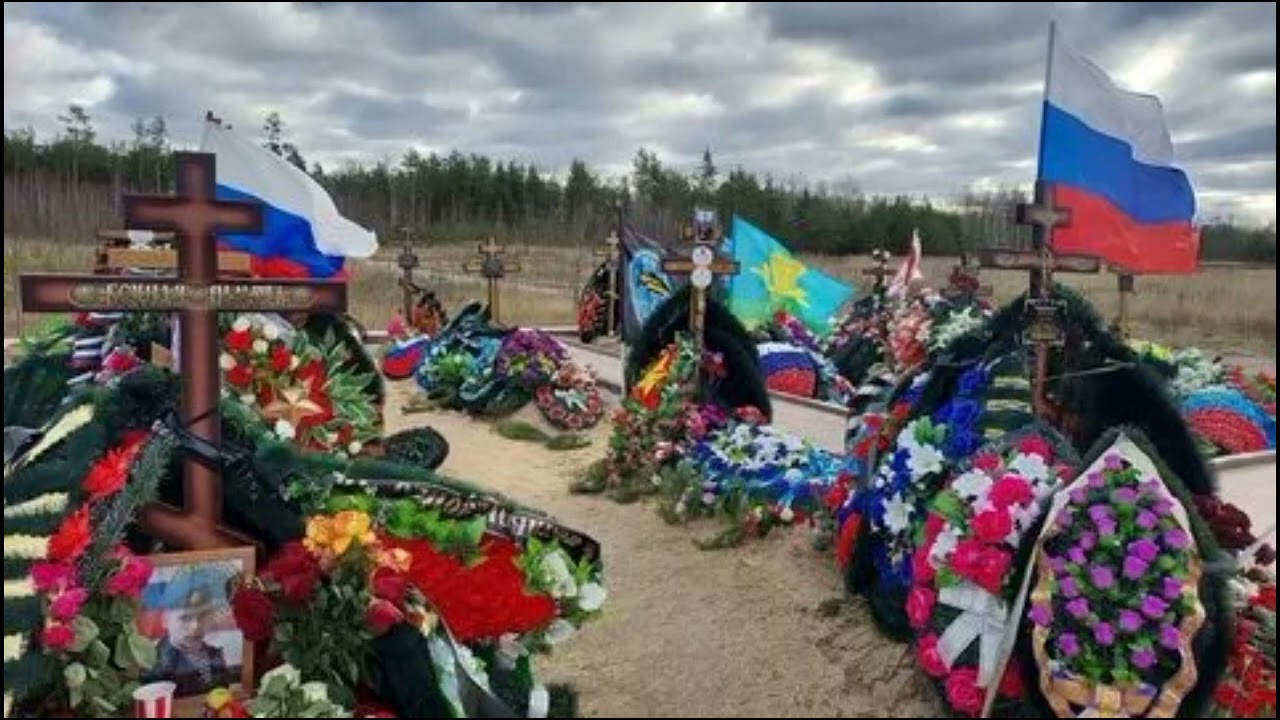 * Здесь на погостах в небо смотрят сосны * Саня Саныч. 