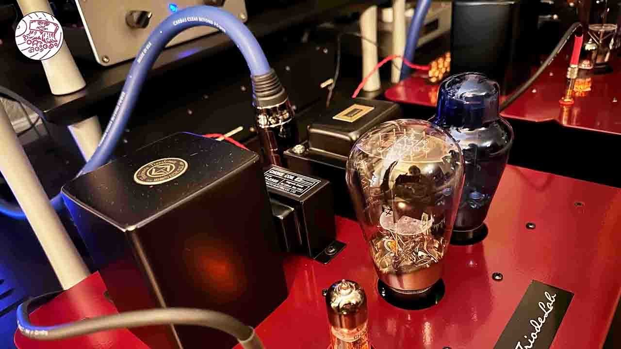 Getting Rid of Our 300B Amp #audio #vinyl