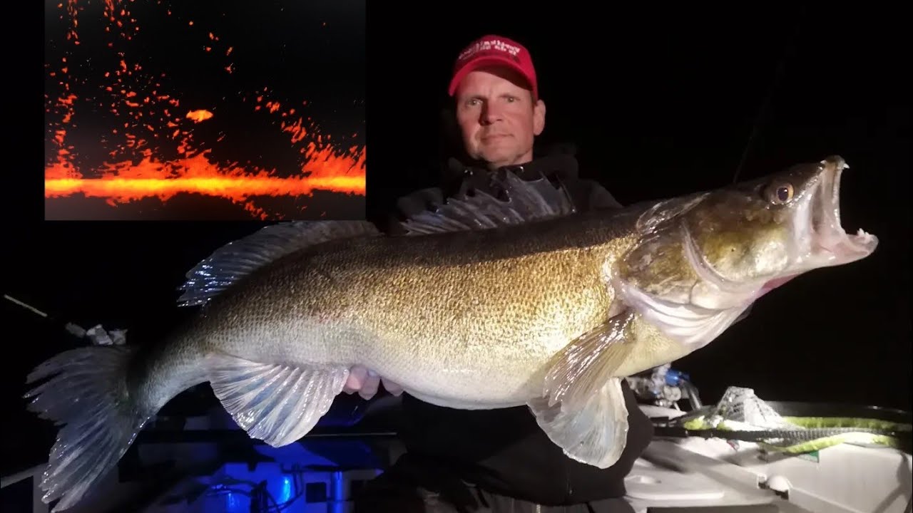 Stor Gös med Garmin Livescope. Spottar ut stor gös. Big Zander. 2023