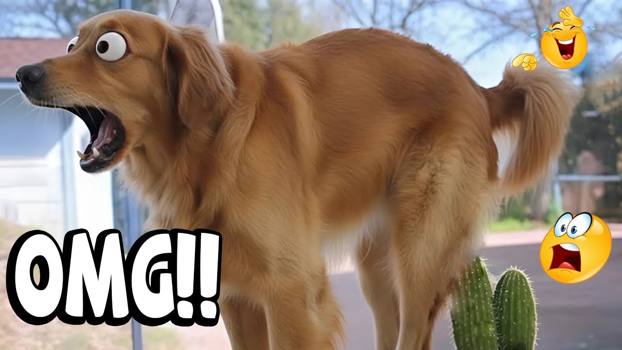 Oops! 🤣 | Dogs Gone Wrong – Funny Dog Fails Compilation 🐶 #3