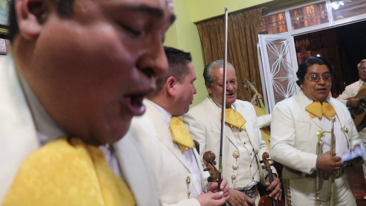 Estos mariachis están bien locos, Mariachi Monarcas de Zamora, Michoacán