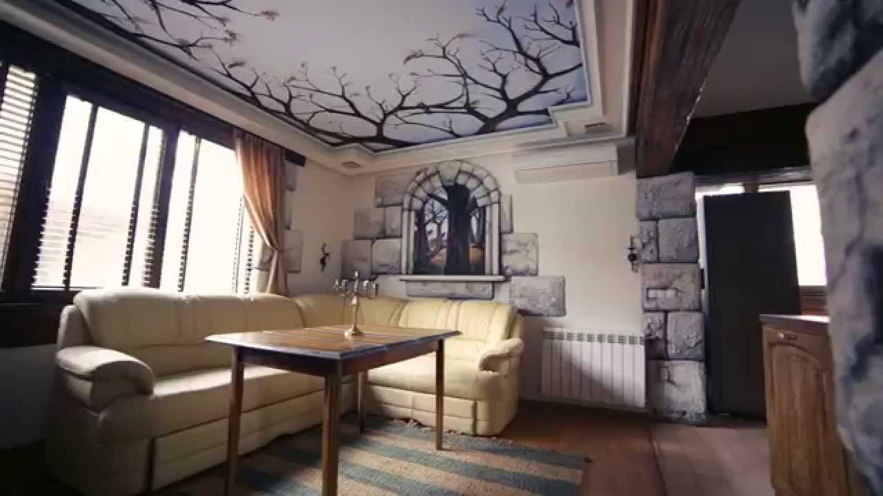 ProvideoZ - Z Art Interior