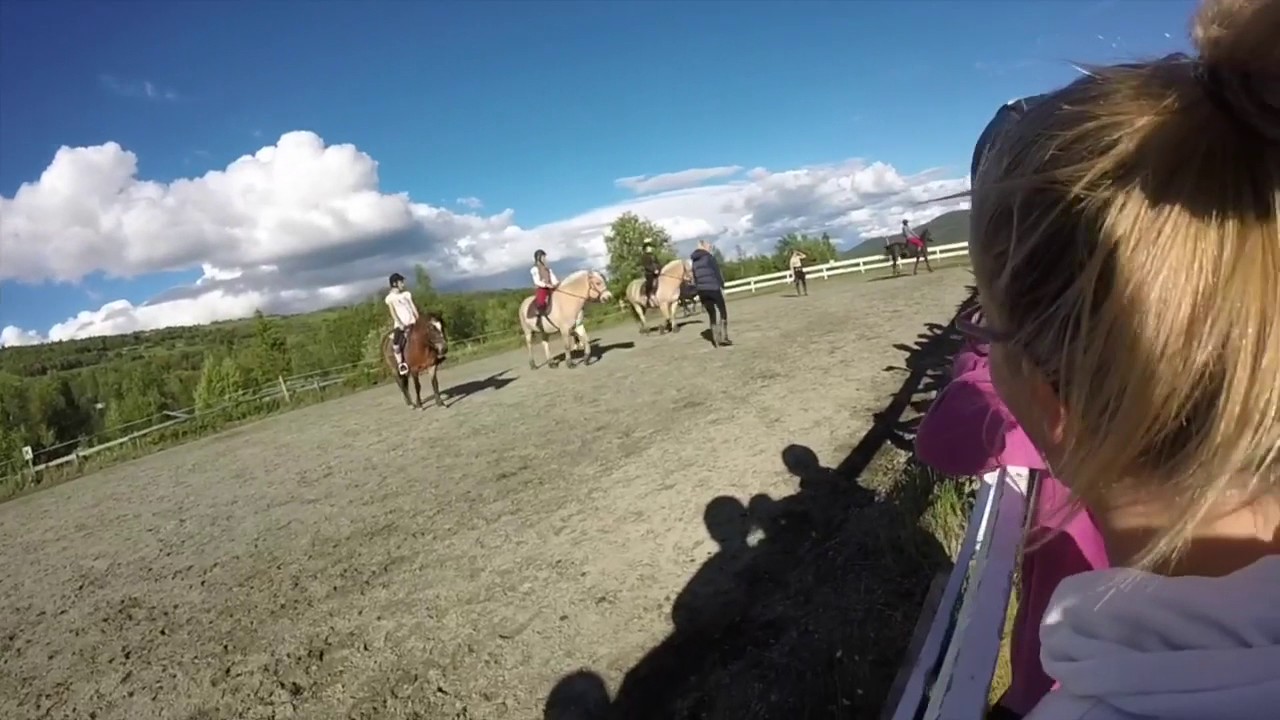 Skogshorn Rideleir uke 27 2016