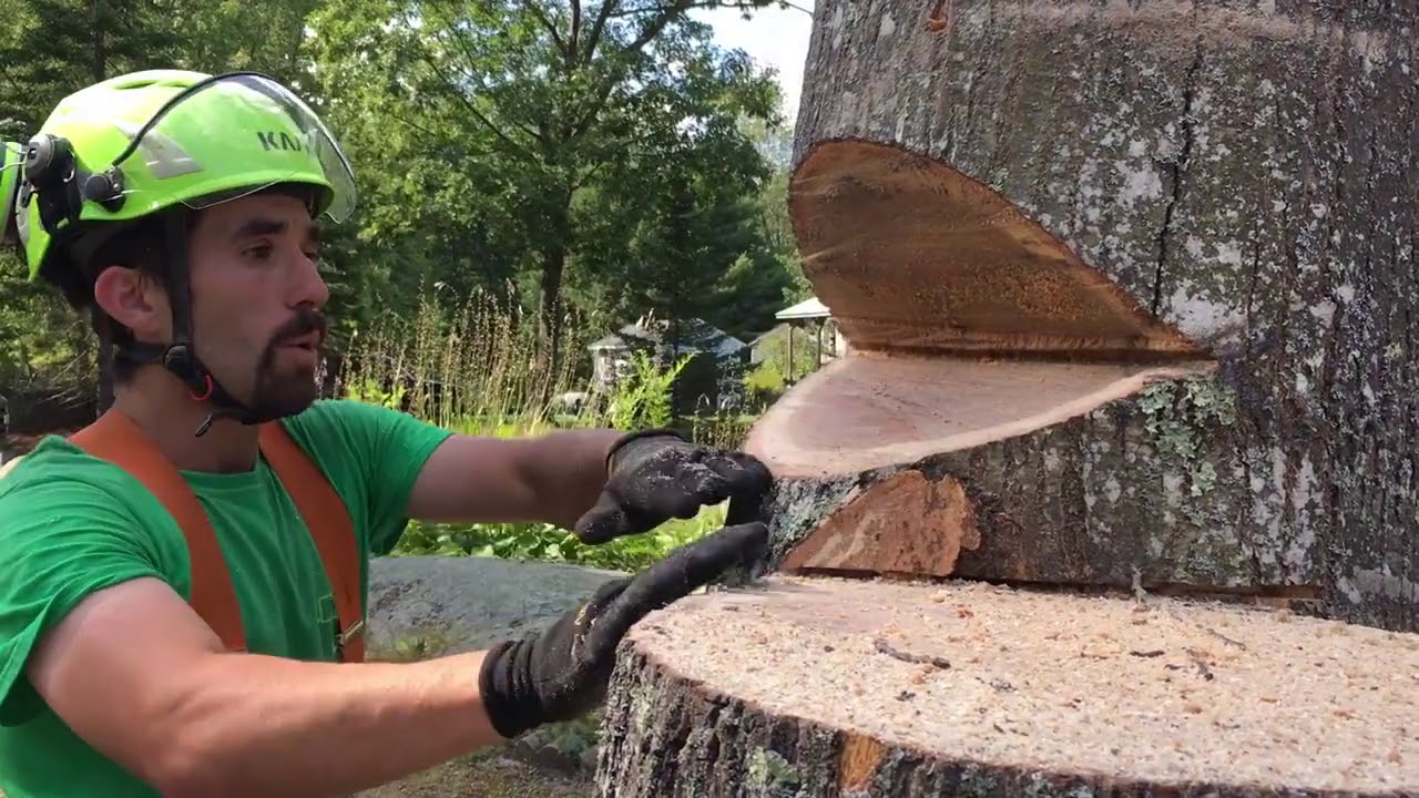 Felling A 