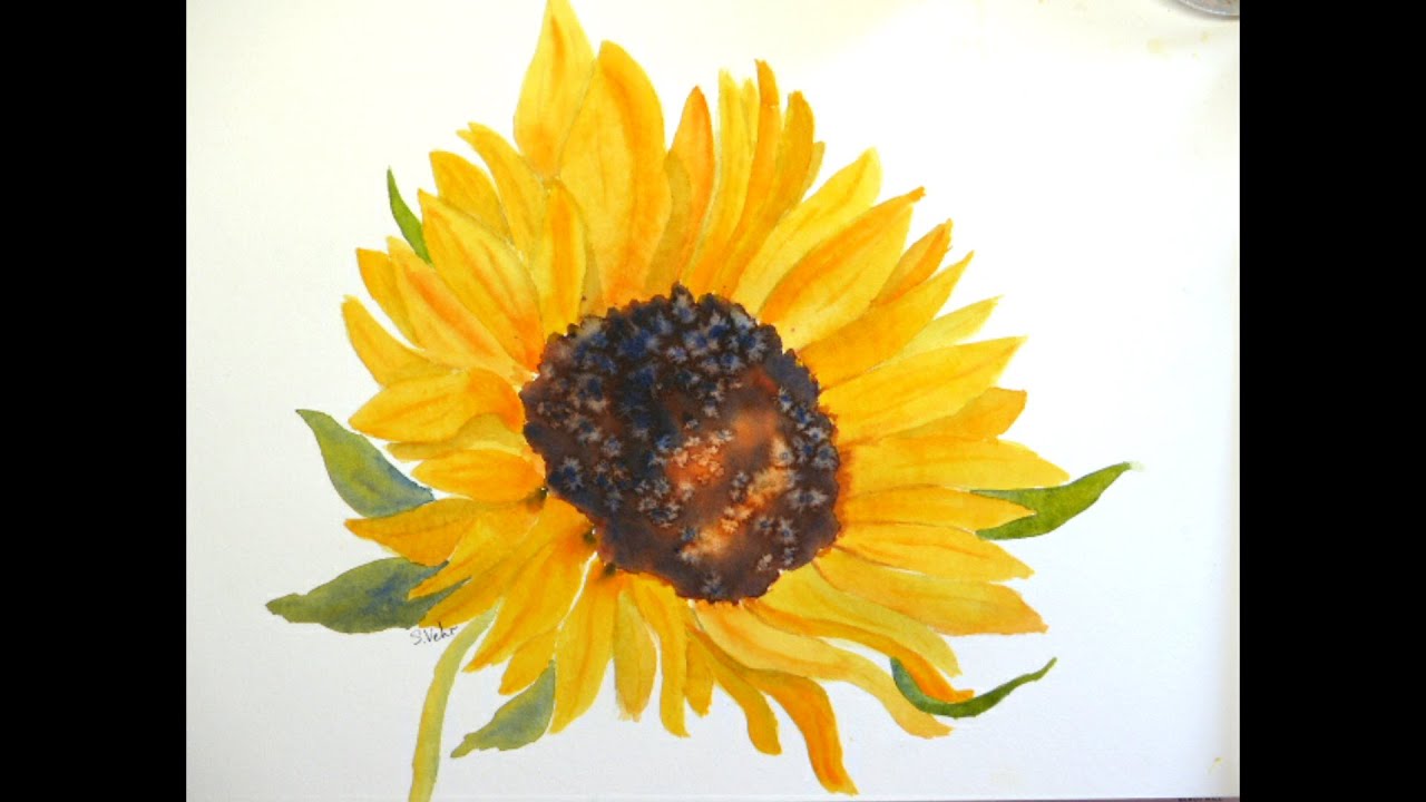 Aquarelle : Tournesol