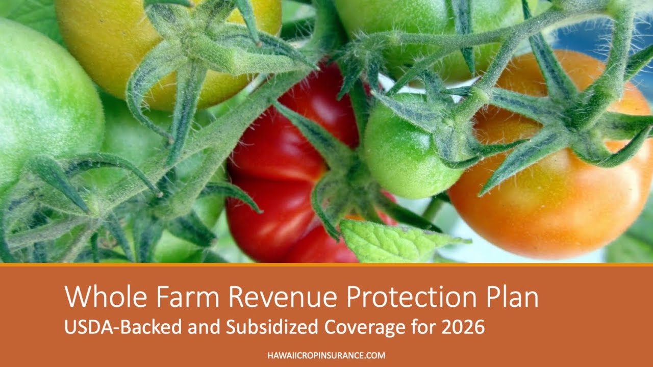 Whole Farm Revenue Protection and Micro Farm Insurance for Hawaii Growers