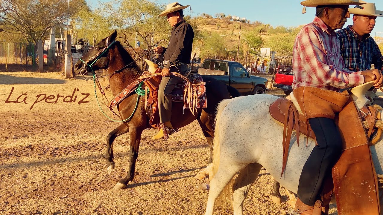 La perdiz, en Hacienda Vieja (Diciembre 2024) - Conjunto LINDERO #zapateado #lindero #michoac&aacute;n