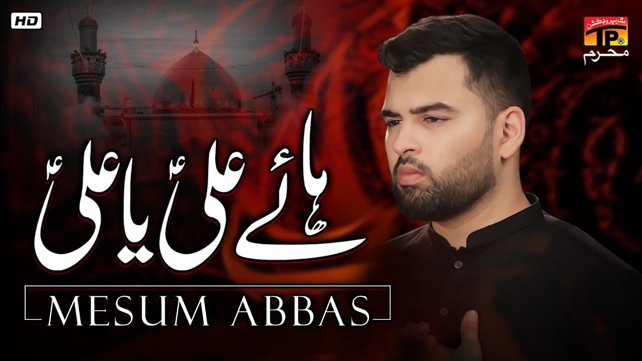Haye Ali Ya Ali | Mesum Abbas | Nohay | Moharram | TP Muharram