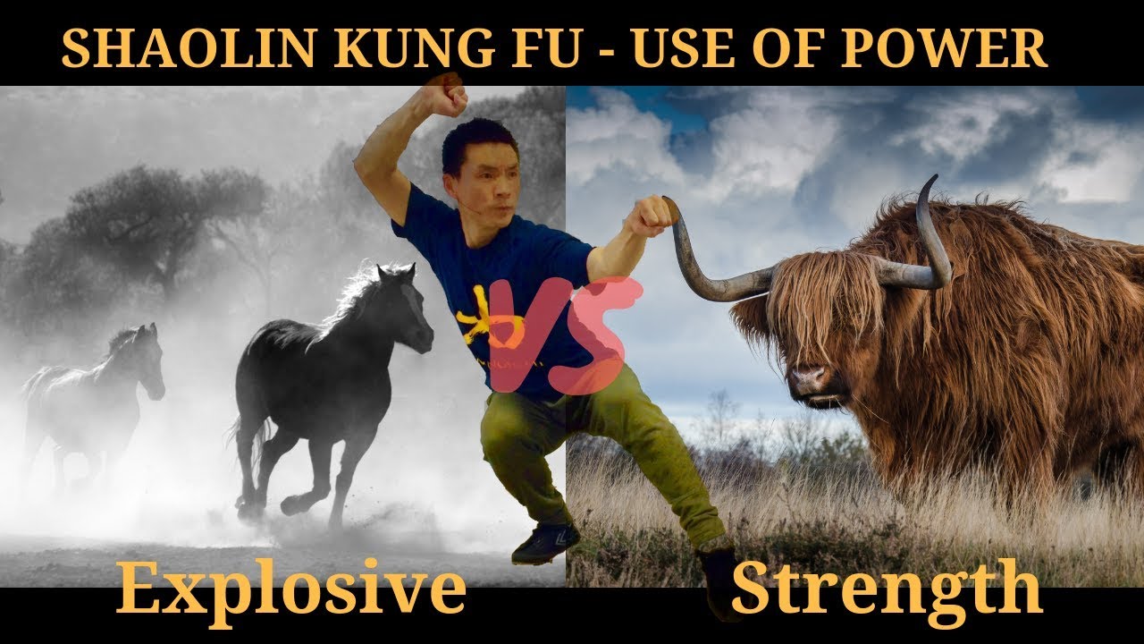 Shaolin Lian Huan Quan | 连环拳 - Kung Fu Explosive Power & Application Tips