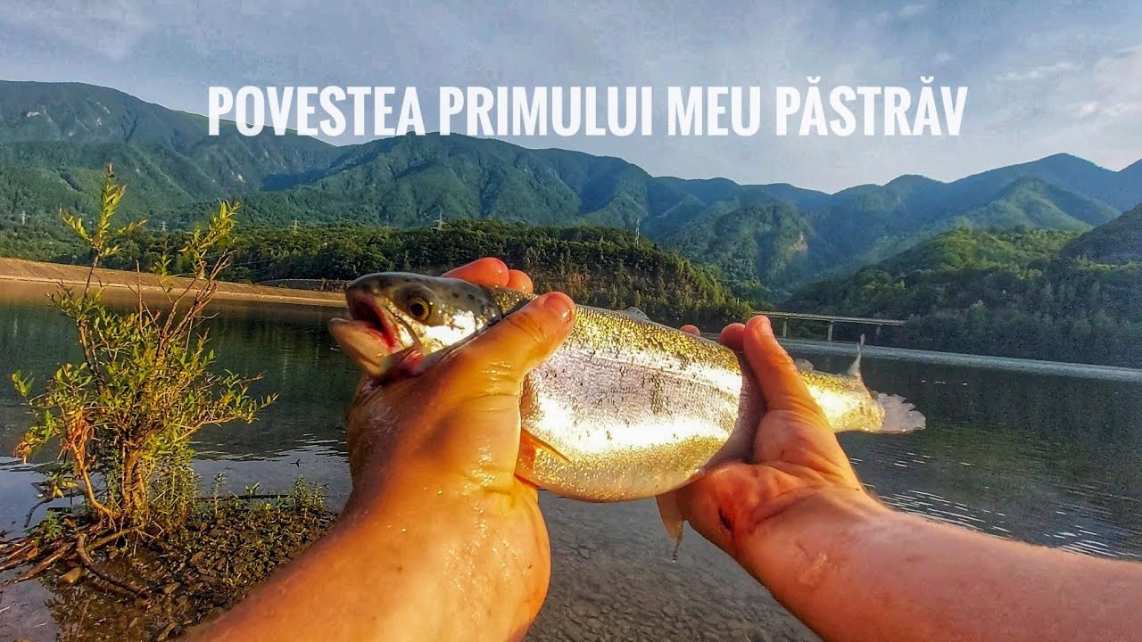 Prima mea partida de pescuit la Păstrăv pe lac de Munte - Am prins PĂSTRĂV CURCUBEU!