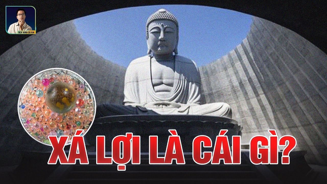 X&Aacute; LỢI C&Oacute; GIẢI TH&Iacute;CH THEO KHOA HỌC ĐƯỢC HAY KH&Ocirc;NG?