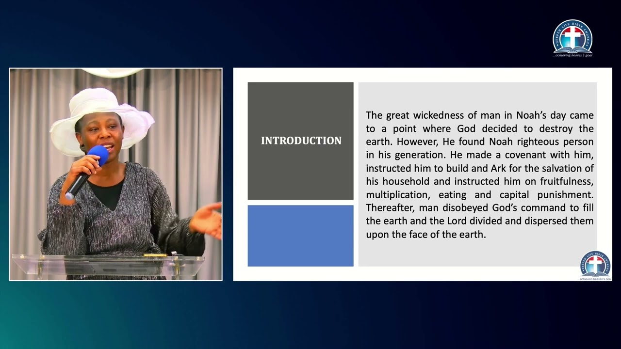 STS 3 || The Flood and its aftermath