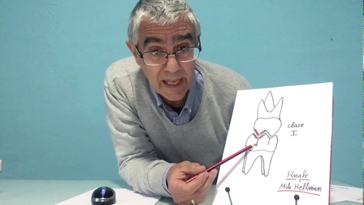Oclusion en ortodoncia parte 1