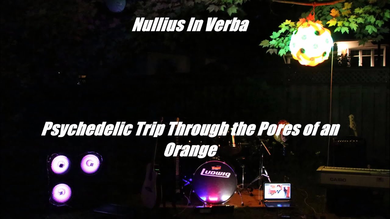 Psychedelic Trip Through the Pores of an Orange LIVE (Audio) - Nullius In Verba