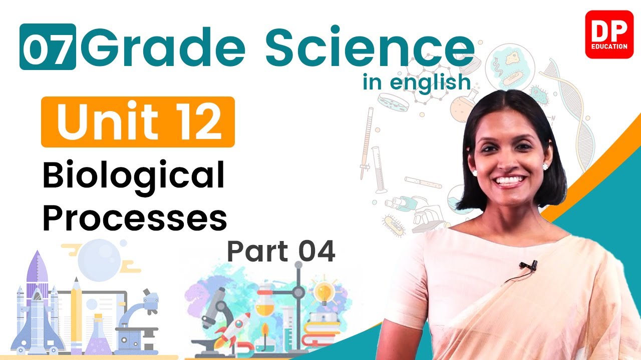 Lesson 12  -  Biological Processes  (Part 04) | Grade 07 Science in English