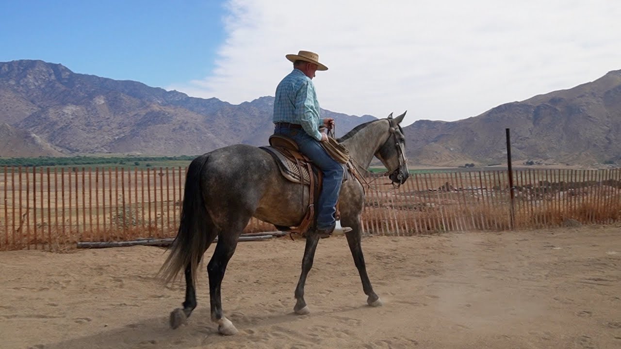 Chinaco: The Two Rein