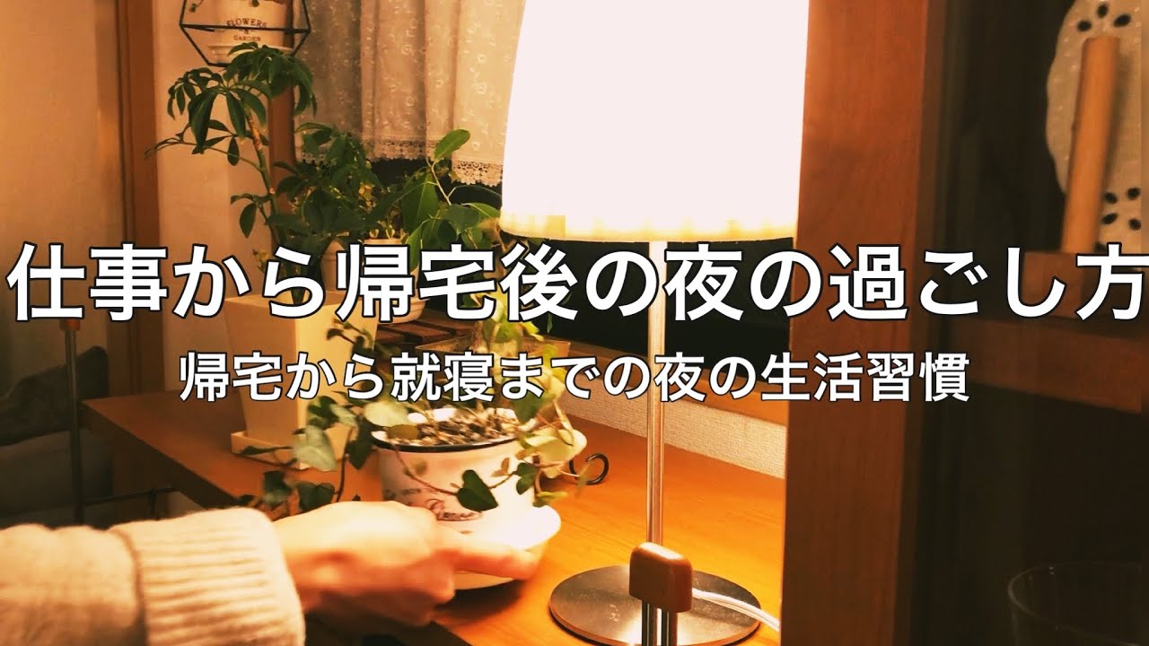 【夜の過ごし方】仕事の帰宅後から就寝までの様子と生活習慣