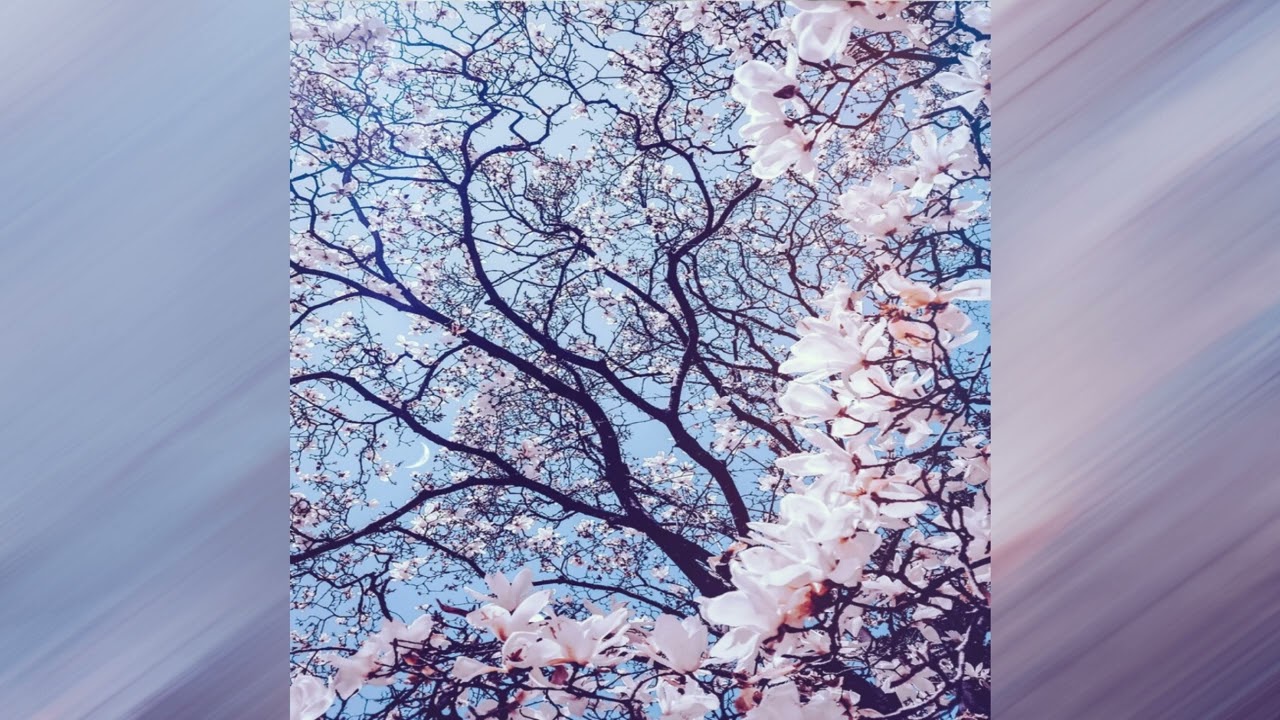 [FREE] Bladee x Shinju x Ddertbag Type Beat 'Spring'