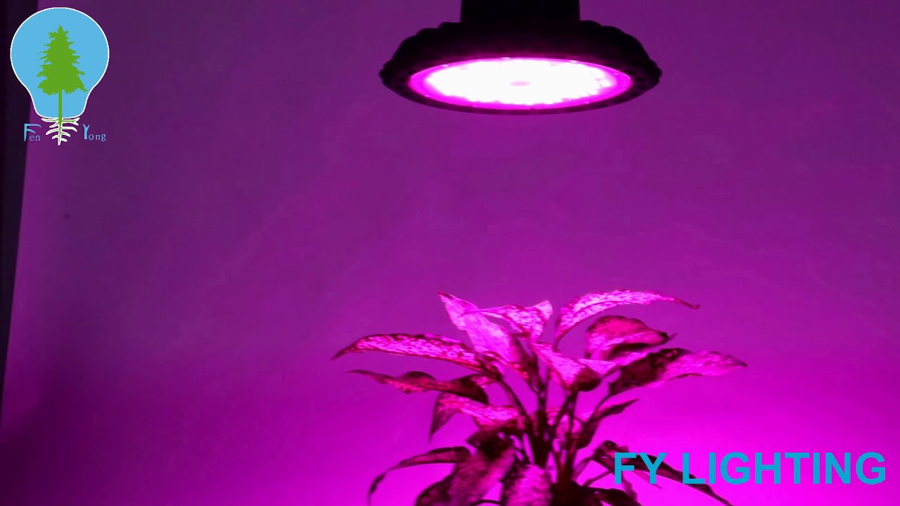 FY LIGHTING  UFO GROW LIGHT
