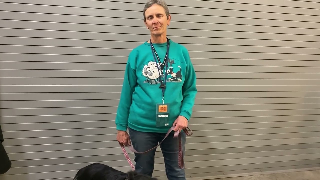 Gisela Griesser demonstrates how stock dogs can herd runner ducks