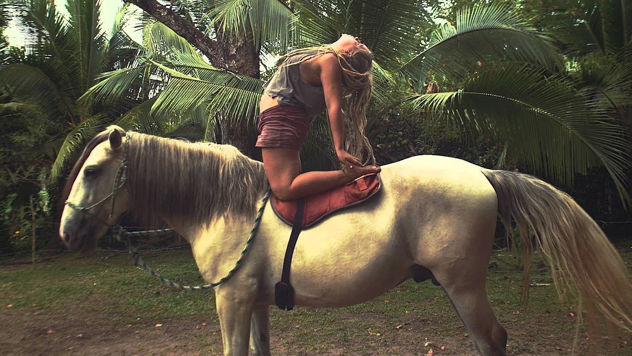 Horse Yoga