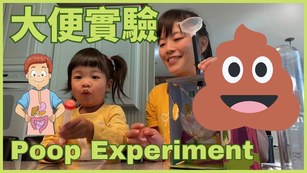 Learning about Poop & the Digestive System in Chinese 大便實驗💩 & 消化系統  | STEAM Chinese ｜ STEAM 中文