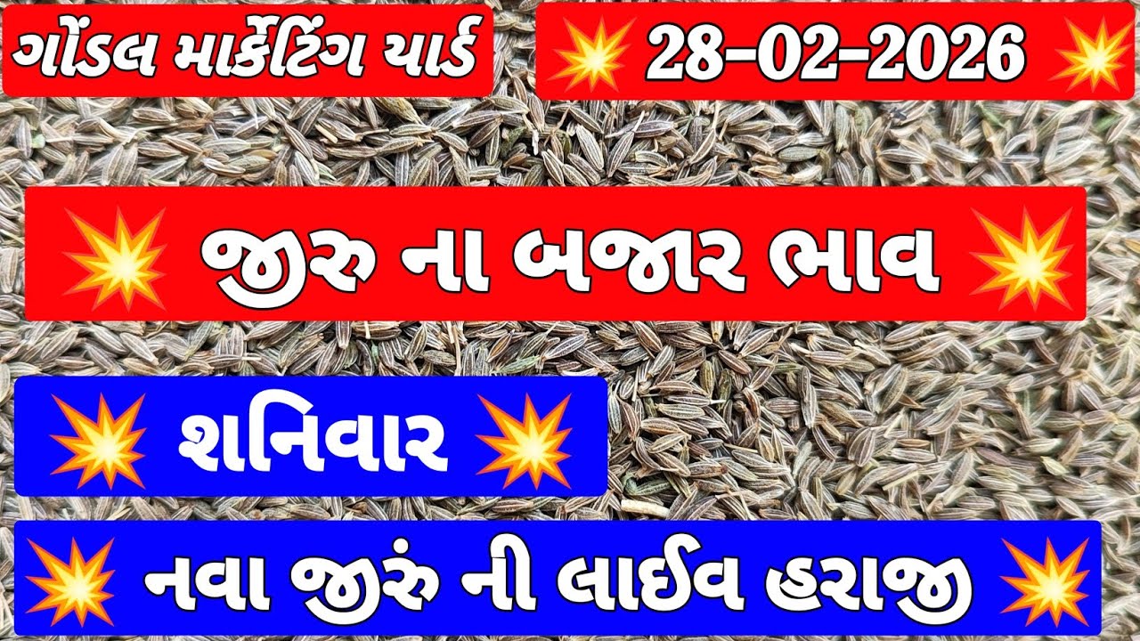 નવા જીરુ ના બજાર ભાવ | 28-02-2026 | Nava jeera na bhav | જીરા ના ભાવ | RJ Gondal Marketing Yard | 