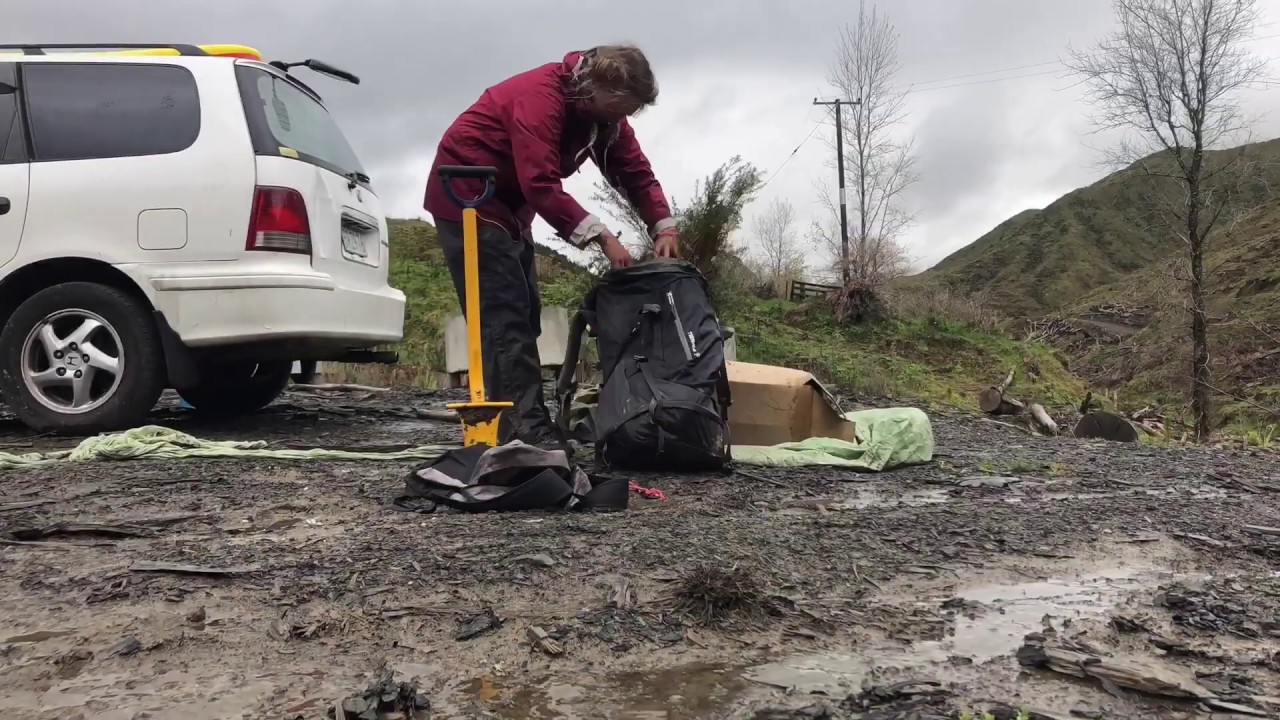 New Zealand Tree Planting