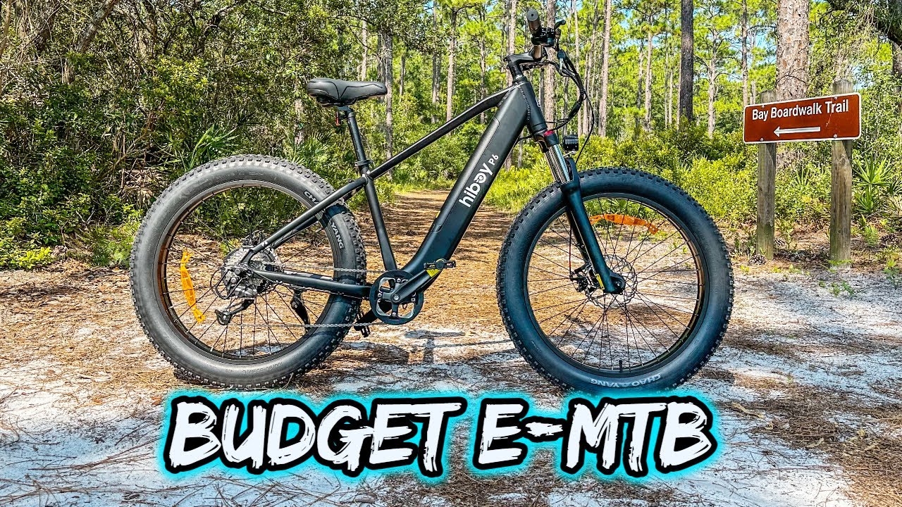 THE CHEAPEST E-MTB? UNDER $1000 HIBOY P6