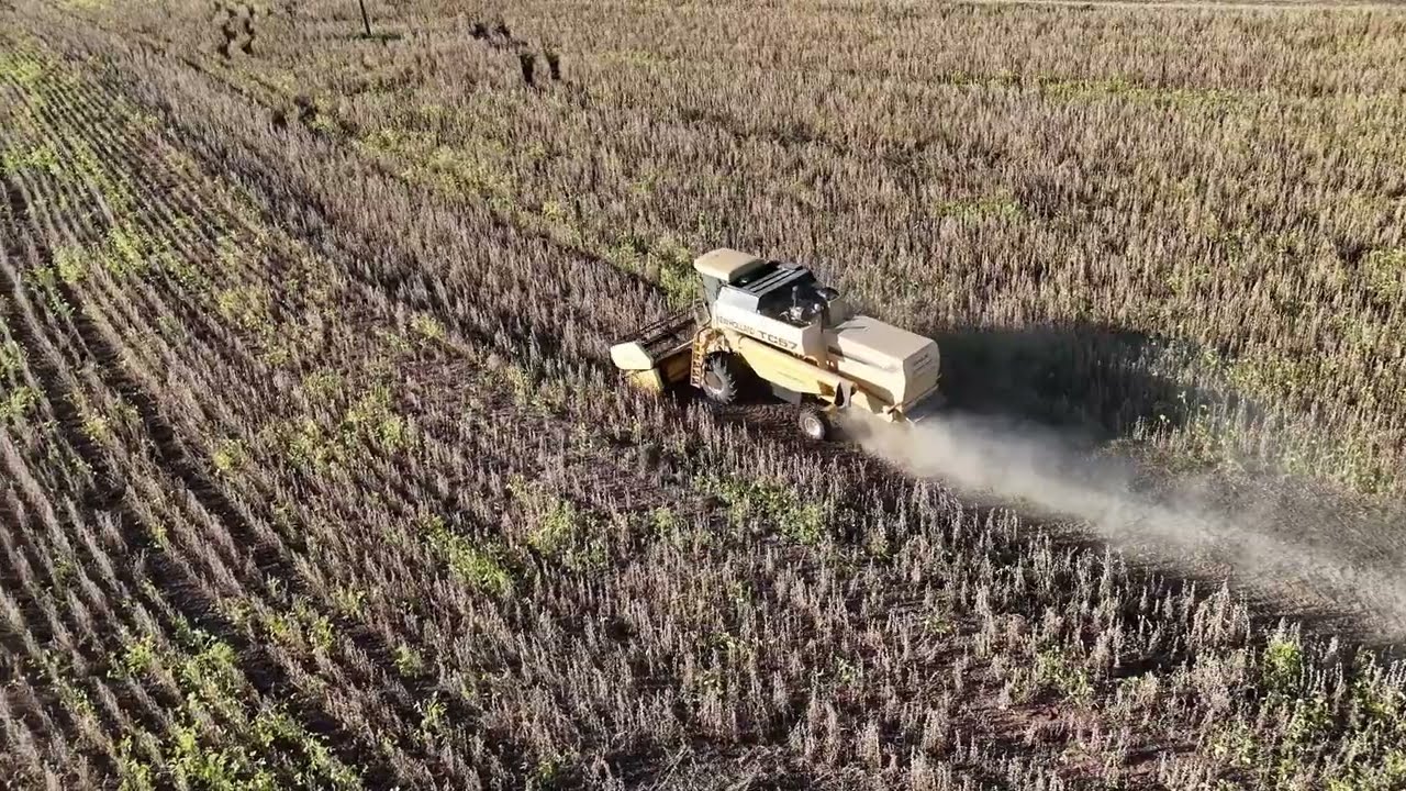 FAZENDA A VENDA NO ESTADO DE SÃO PAULO