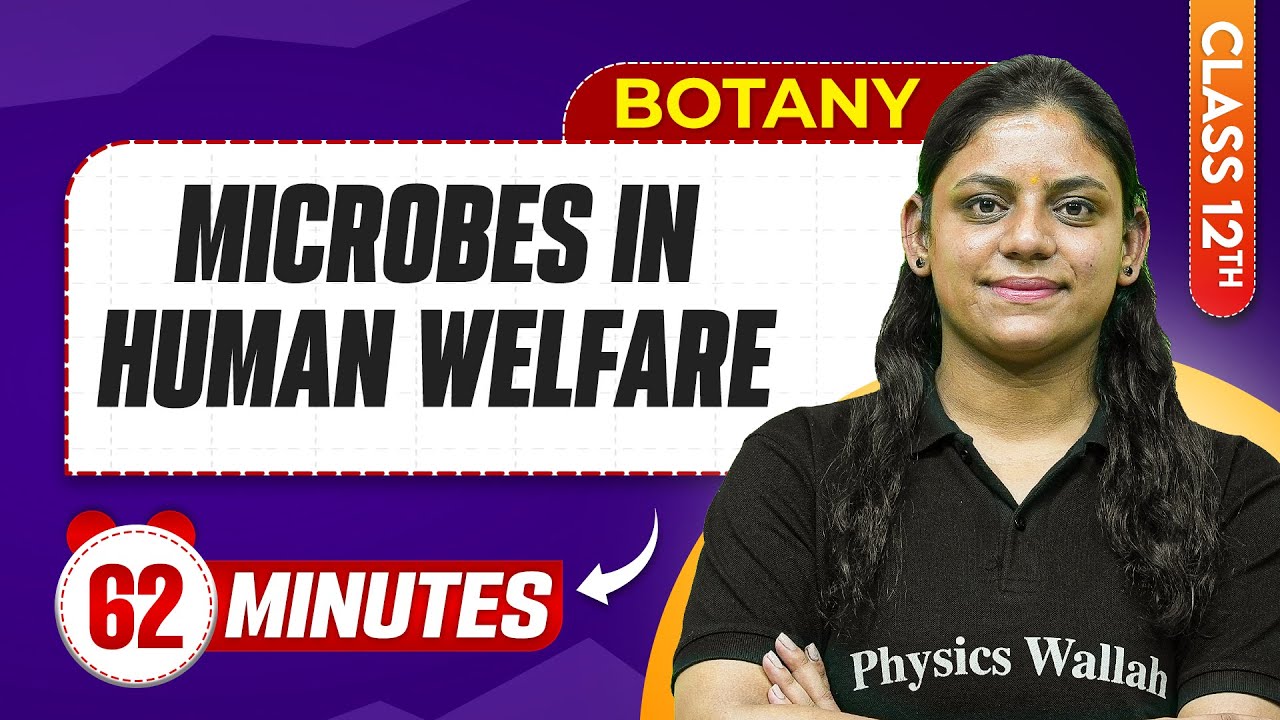 Microbes In Human Welfare in 62 Minutes | Class 12th Botany | Mind Map Series