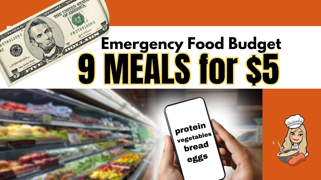 EMERGENCY BUDGET MEALS | BREAKFAST, LUNCH, & DINNER for 3 DAYS for $5