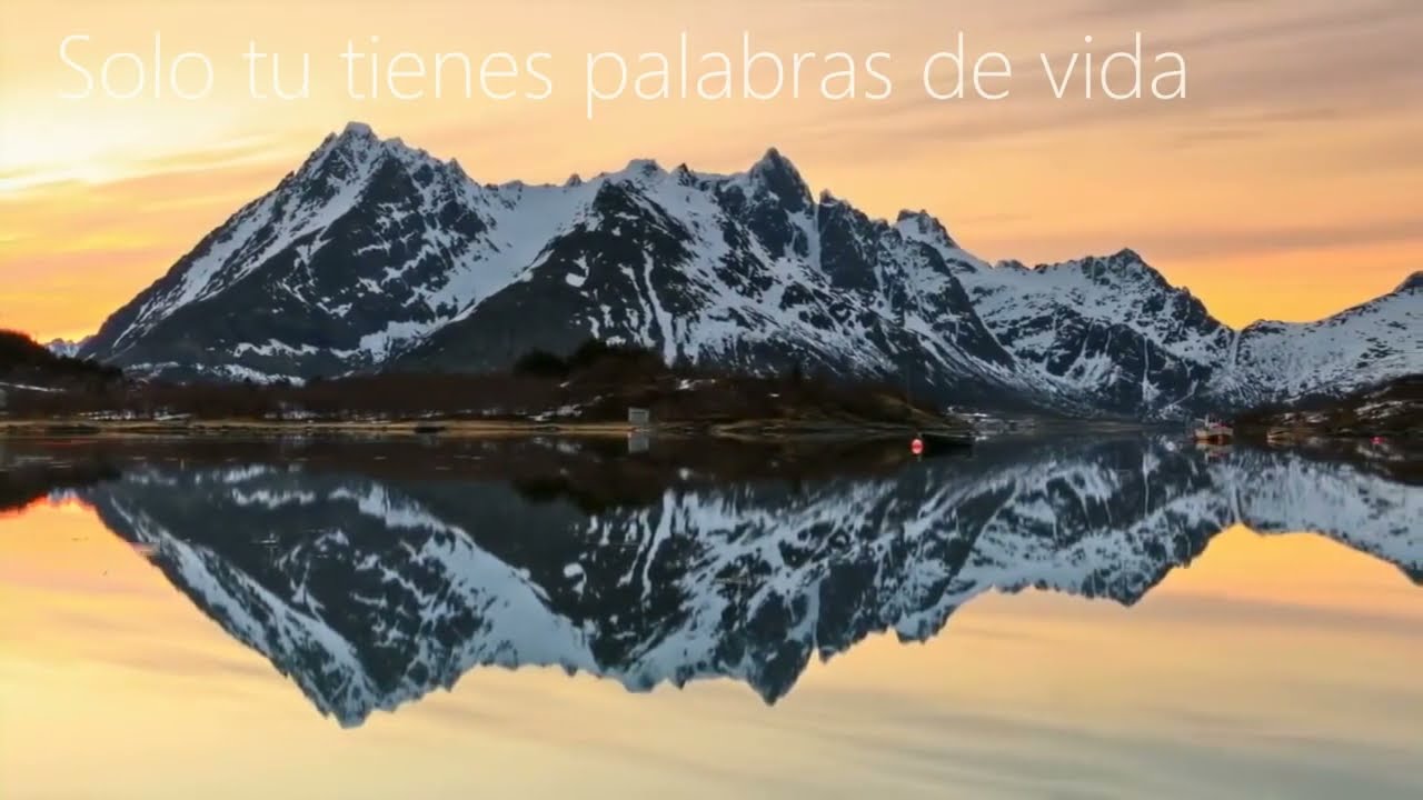 Amparo y refugio