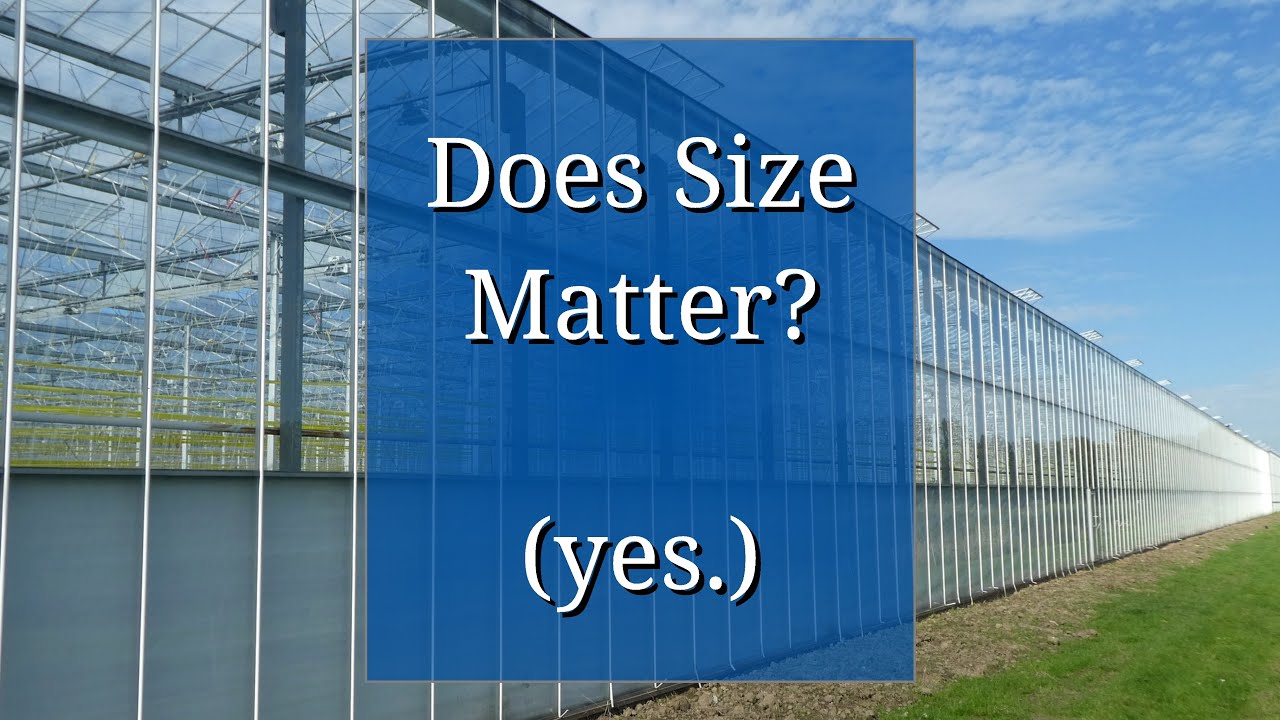 Does Size Matter?  (and other greenhouse considerations)