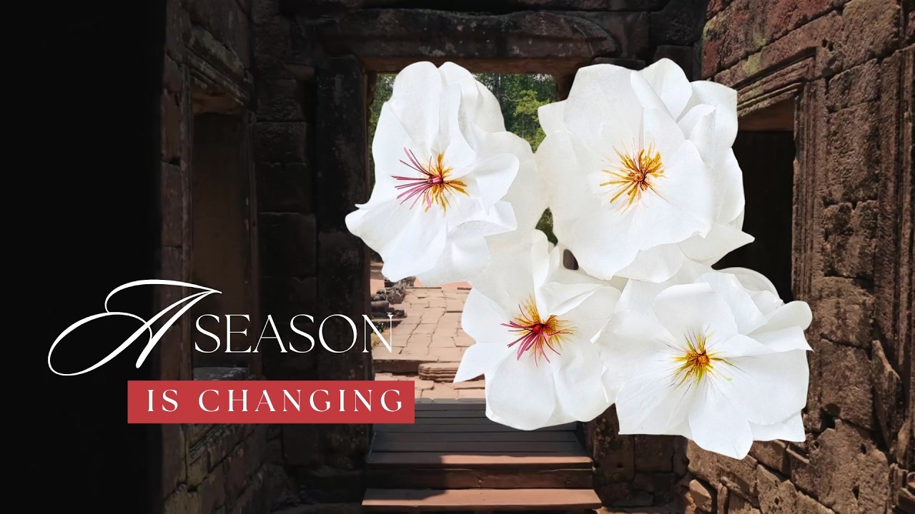Sunshine Is Close:  A Paper Flower Lookbook