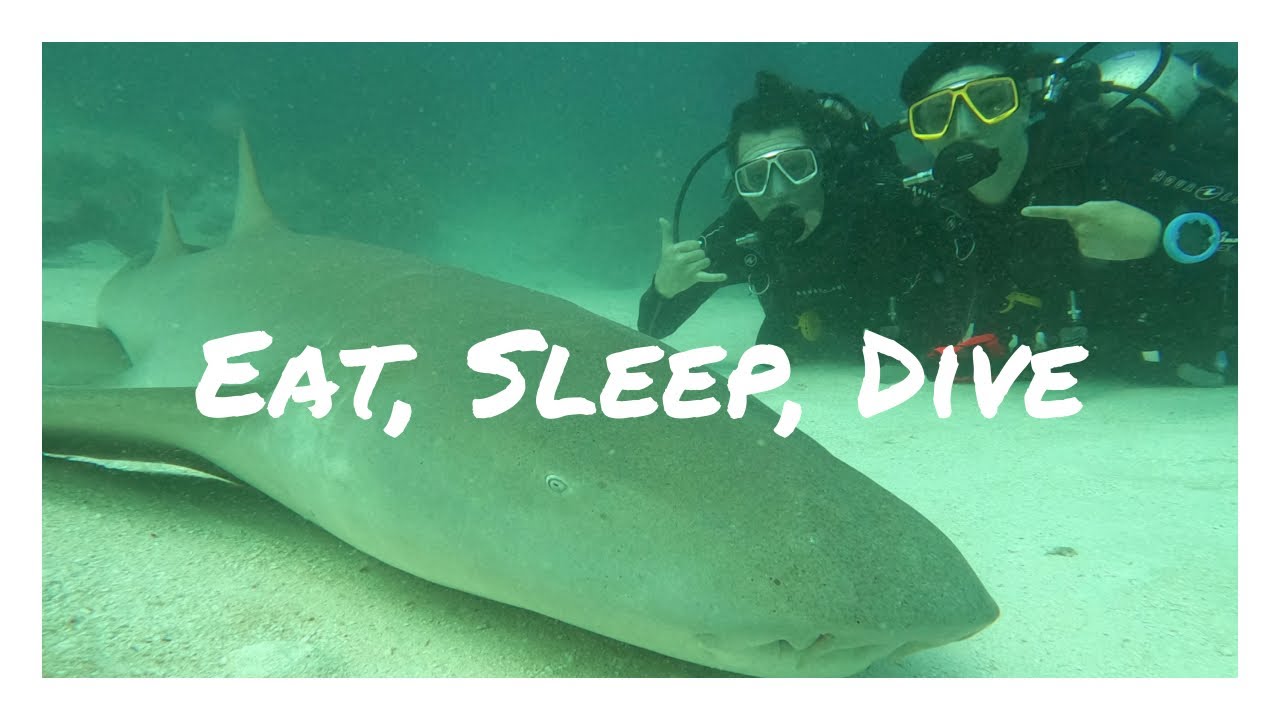 A DAY IN THE LIFE ON A DIVE BOAT//What it’s really like to live on the Maldives Aggressor 2
