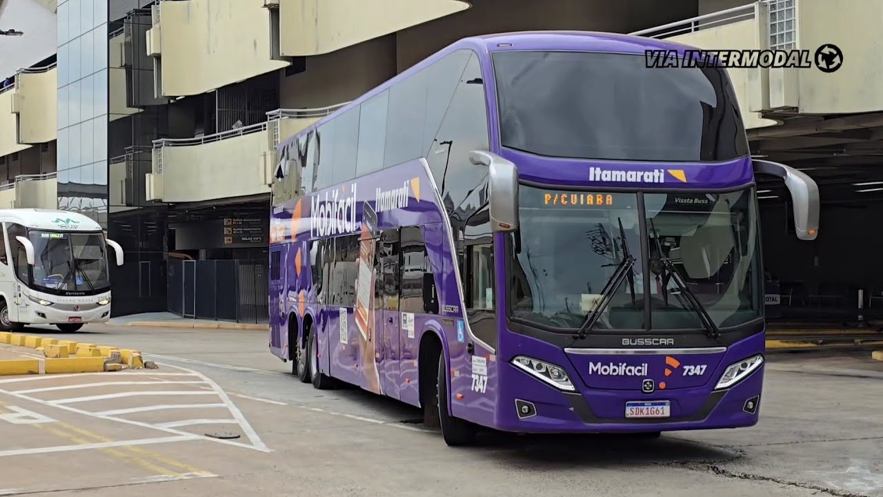 Rodoviária de São José do Rio Preto (SP) - Movimentação de Ônibus 2025: parte 1