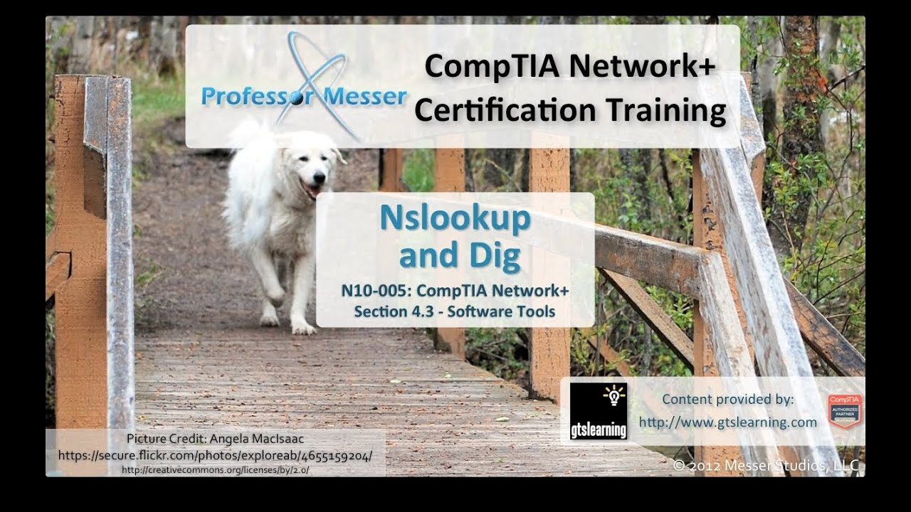DNS Management with Nslookup and Dig - CompTIA Network+ N10-005: 4.3