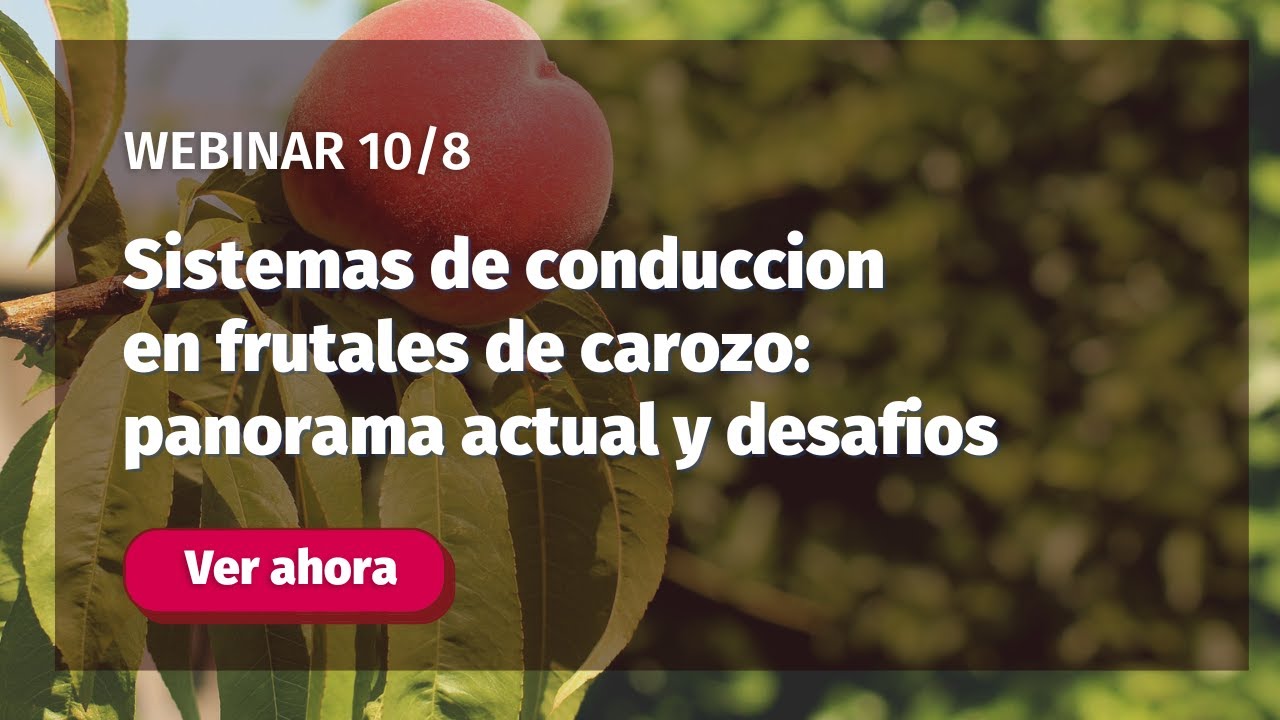 [Webinar] Sistemas de conducción en frutales de carozo: panorama actual y desafíos