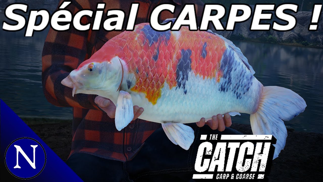 The Catch Carp & Coarse : Spécial pêche a la carpe sur la nouvelle map !