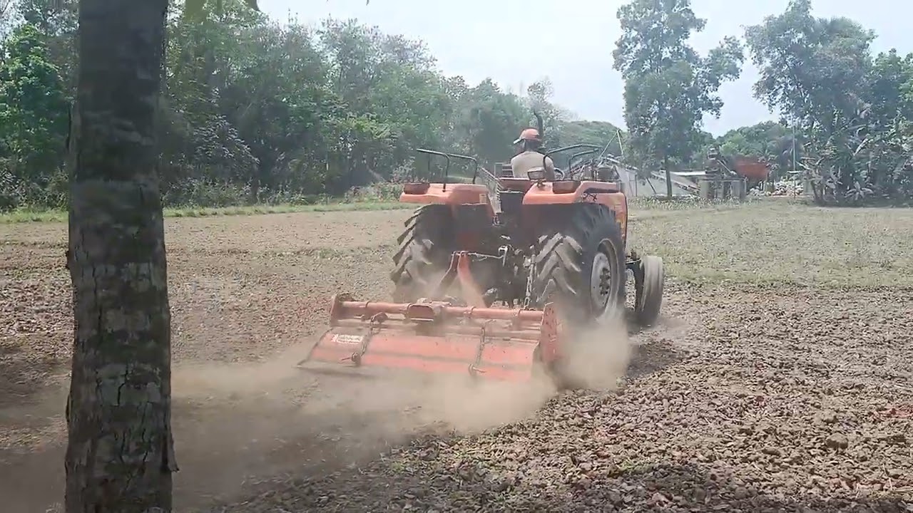 Village Tractor working in the field.  #tractor #tractorvideo #villagetractors