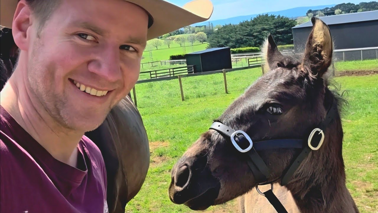 У нас родился ребенок! 🐴