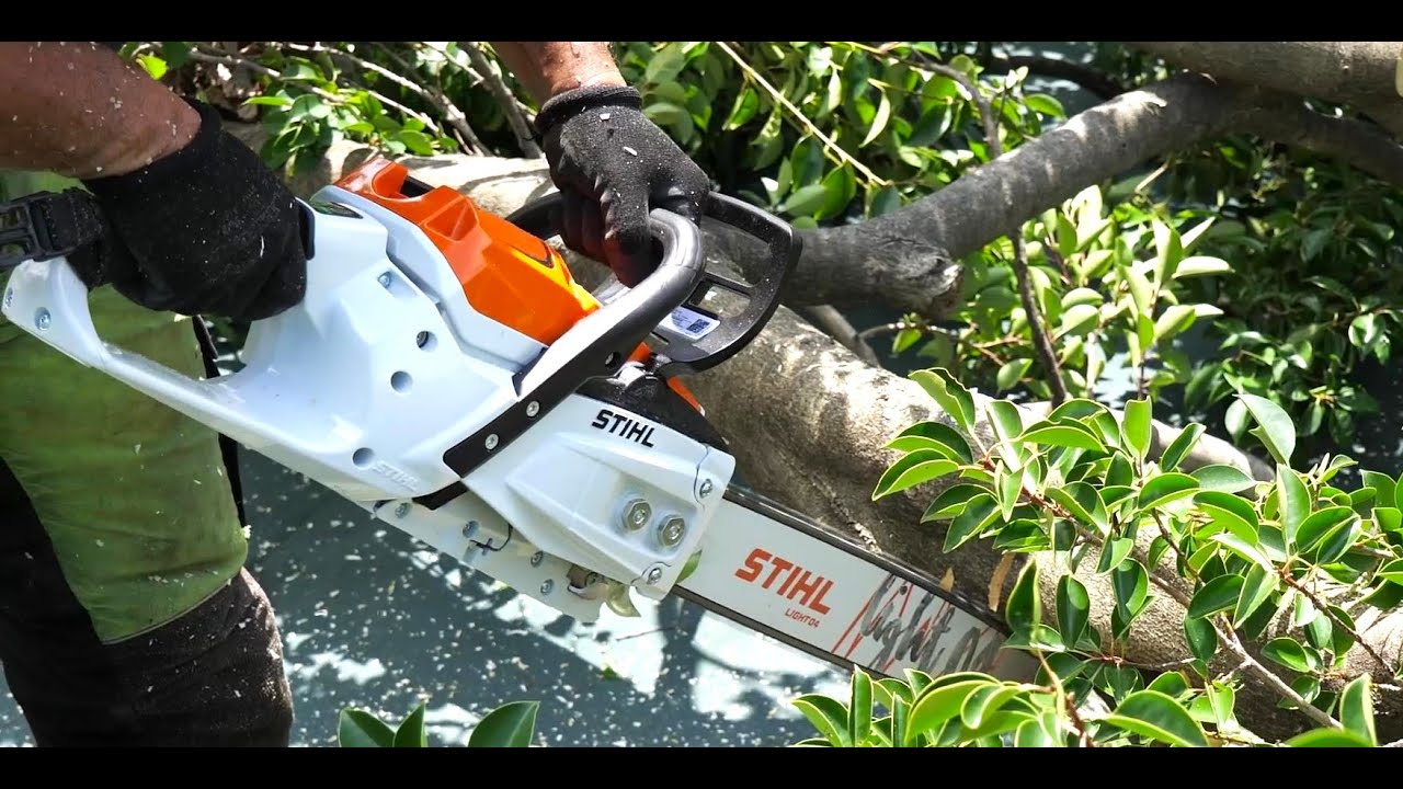 【STIHL　MSA 300 】最新！高性能！バッテリーチェンソーの紹介。高木伐採作業で使ってみました！